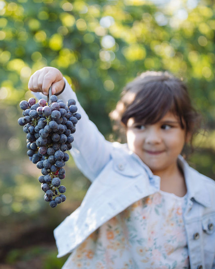 Girl holding grapes