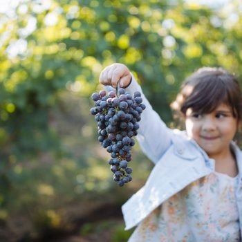 PDFamilyVineyard-119