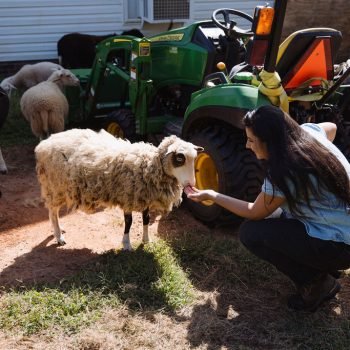 PDFamilyVineyard-184