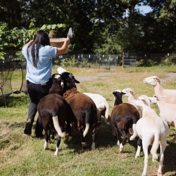 PDFamilyVineyard-186